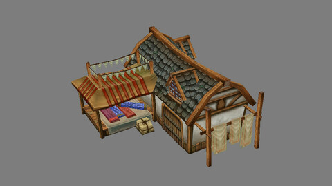 Game Model Arena - silk shop 02 01