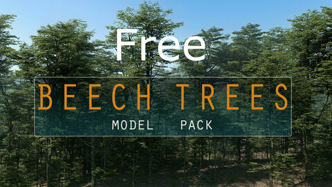 Free Beech Tree Set