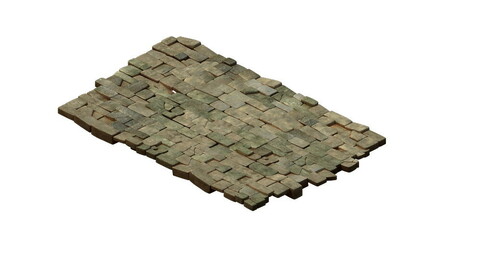Desert Gobi - Inn floor