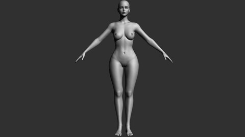 Basemesh Realistic Perfect Female