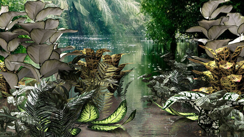 Set of plant tropic 4 Low-poly 3D model