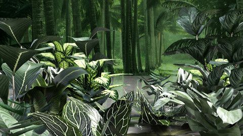 Set of plant tropic 5 Low-poly 3D model
