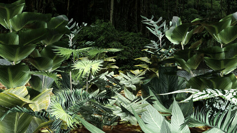 Set of plant tropic 6 Low-poly 3D model