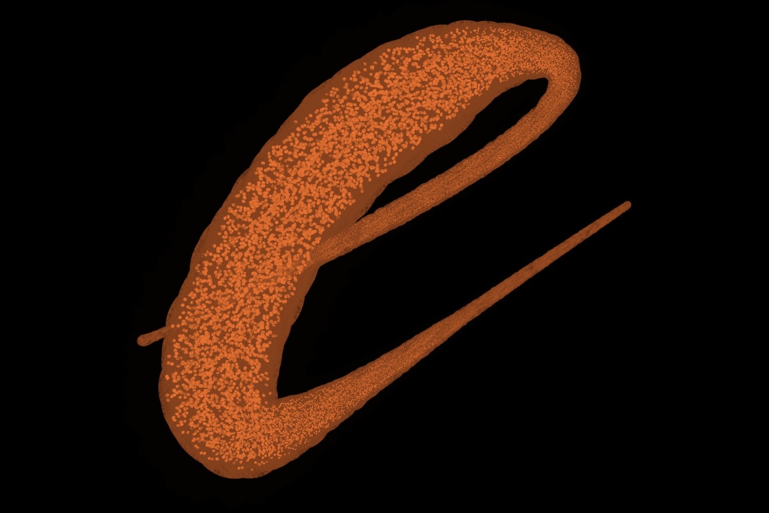 ArtStation Procreate Brush Powder Design 2 Last Brushes