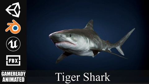 Tiger Shark - Game Ready