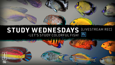 APR-14 LiveStream: Let's Study Fishies! - with art.uro