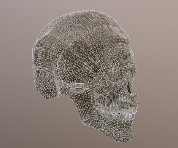 ArtStation - Damaged Skull | Resources