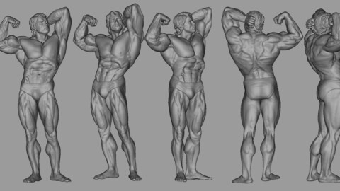 Arnold Schwarzenegger - Mr. Olympia (1974)