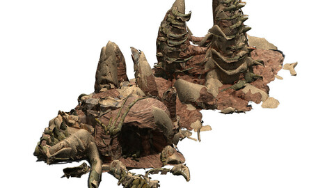 Desert - BOSS Altar Fossil Bones 04