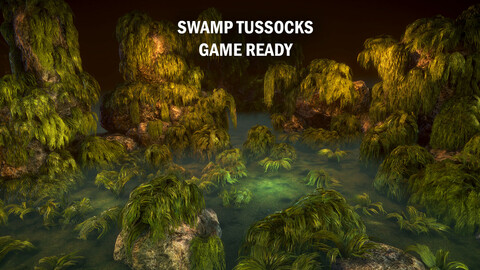 Swamp tussoks