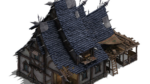 Wild - broken building
