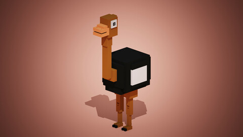 Ostrich
