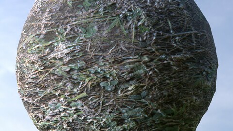 Dirty Grass 1 PBR Material