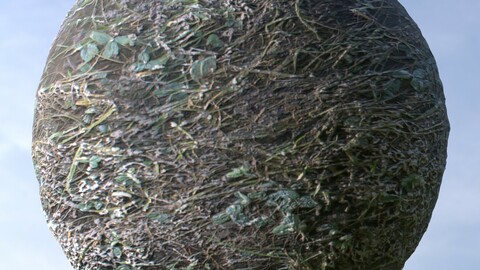 Dirty Grass 2 PBR Material