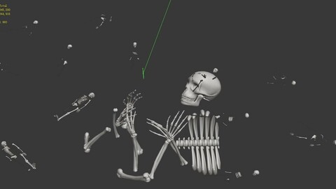 Ancient graveyard - bones
