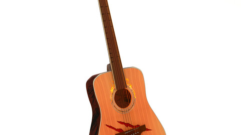 Special Acoustic Guitar