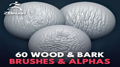 60 zbrush-wood Brushes_tree bark + alpha