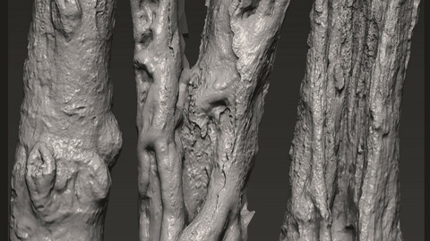 Z brush - Trunk Detail Brushes 2 Volume