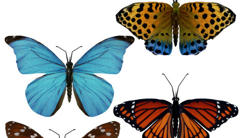 Beautiful Animated Butterflies Set 3D Model