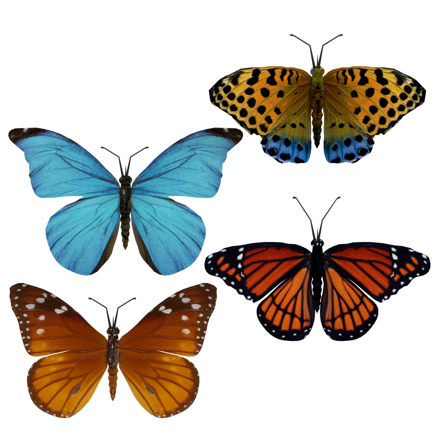 ArtStation - Beautiful Animated Butterflies Set 3D Model | Resources