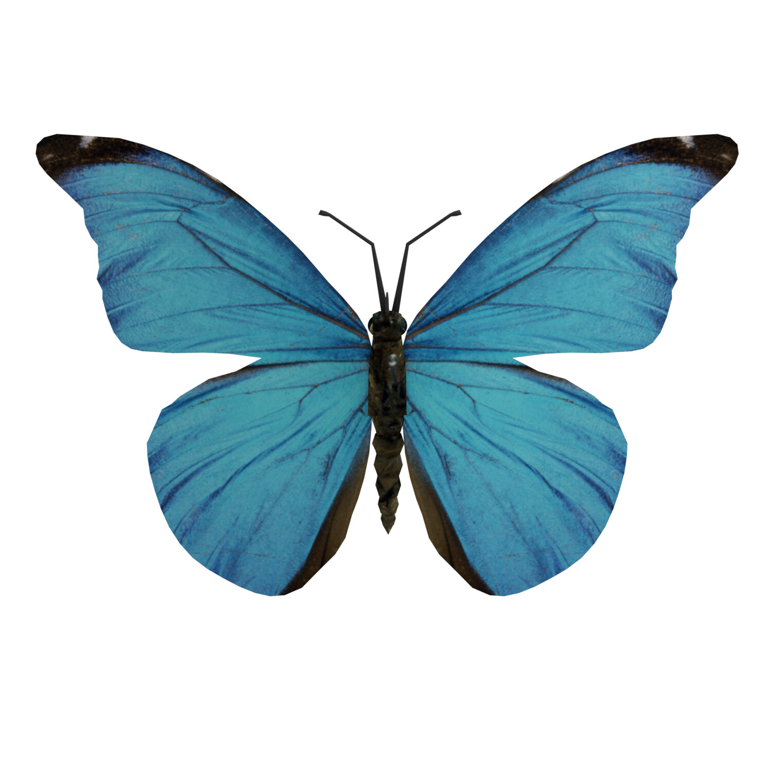 Blue Butterfly | 3D model