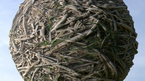 Dry Grass 1 PBR Material