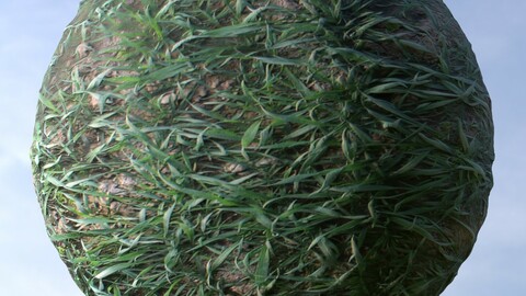 Grass 4 PBR Material