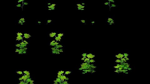 Game Model - Grass 02
