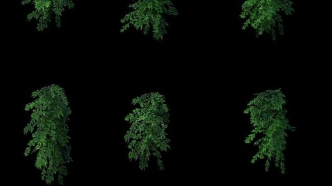 Game Model - Grass 03