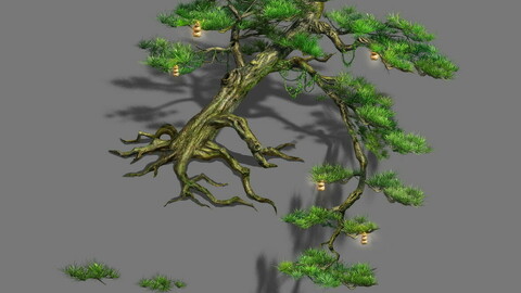 Zen - cliff pine
