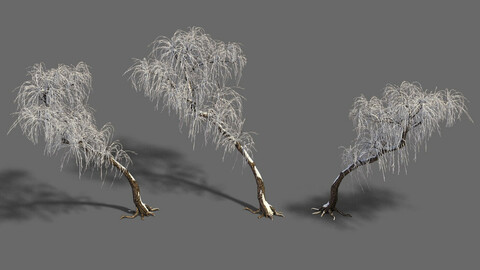 Winter snow - tree