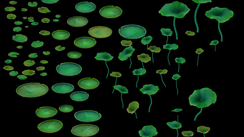 Game model - lotus road