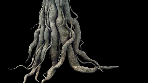 Game Model - Kashayana Buddha Forest Big Tree Root