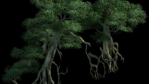 Game Model - Kashayana Buddha Forest ruins tree