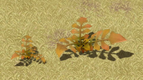 Cartoon version - wasteland vegetation