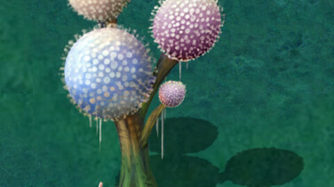 Cartoon version - pompon Spores 02