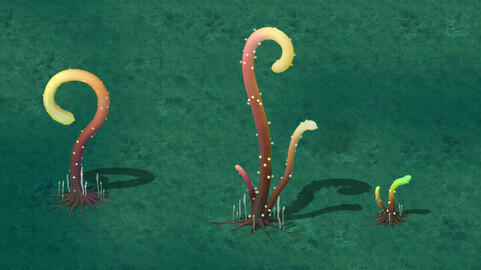 Cartoon version - Striped spore