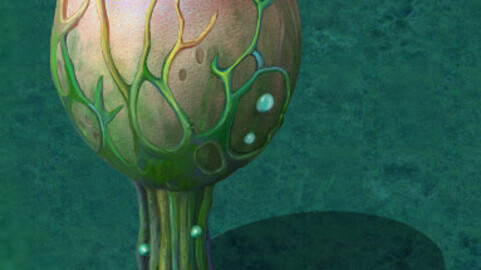 Cartoon version - fine stripe spores