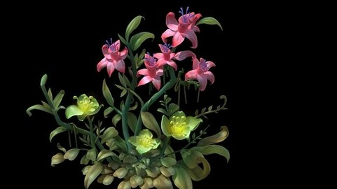 Hanging Garden - Xian Yun flowers combination
