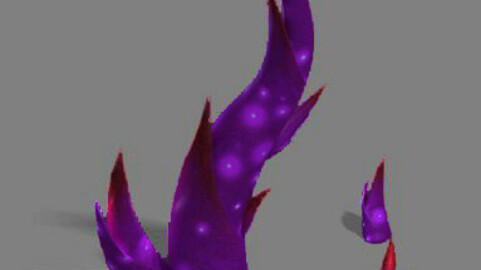 Magic territory - plant 02