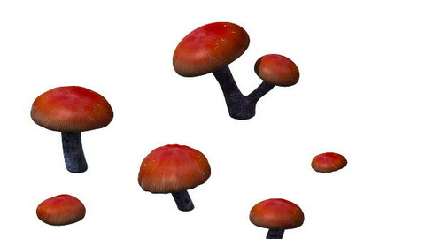 Game model - exotic flowers 7