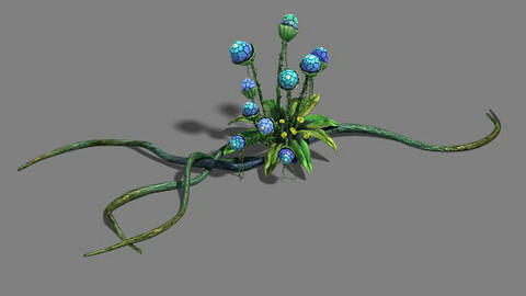 Strange - Flower 2