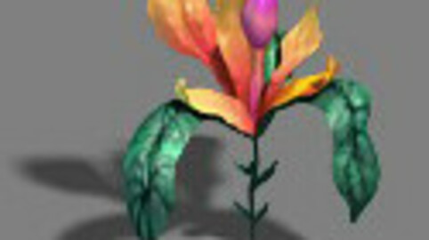 Strange - Flower 4