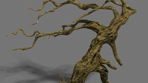 Strange - dead tree