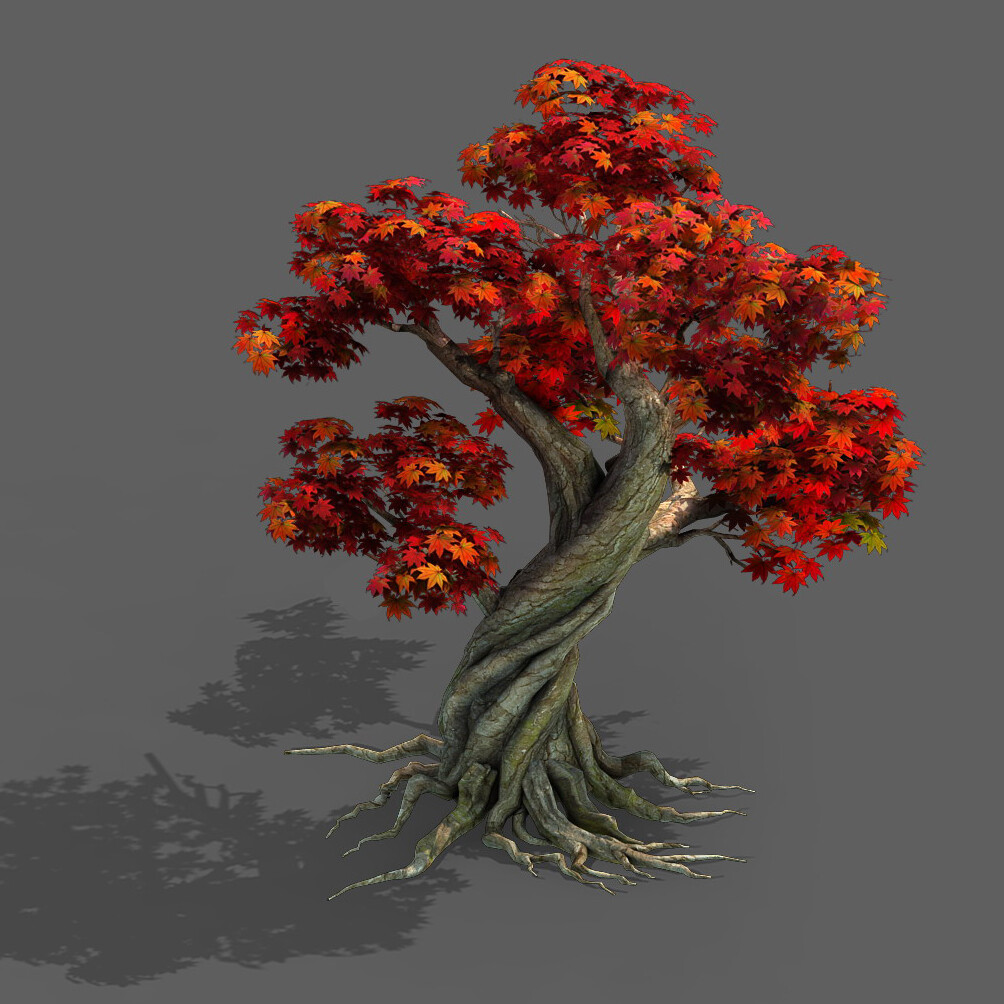 Maple x3 pro. Rainforest Trees 3d models.