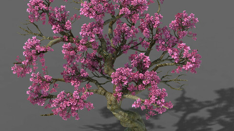 Forest - Peach Tree 05