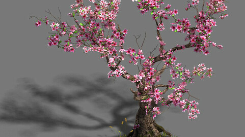 Forest - Peach Blossom Tree 21