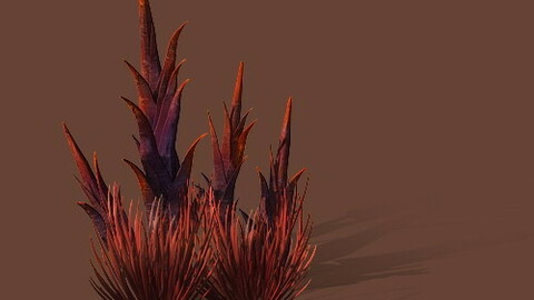 Game Models - Plants in the Desert