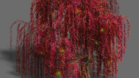 Trees - Biluo Trees 01