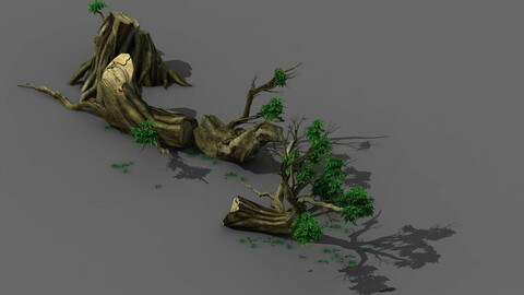 Plant - broken tree 01
